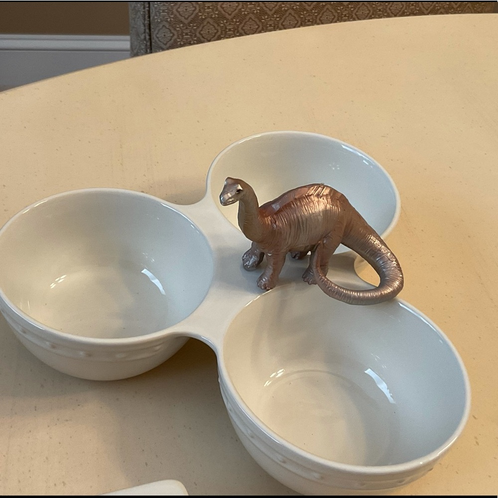 Apatosaurus Dinosaur Platter Decor 🦕